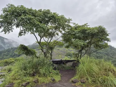 two trees and a bench on a hill with mountains at Mamalakandam - Egg House - in Diya Homestay in Mamalakandam