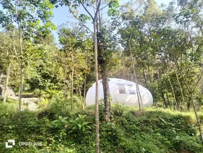 an igloo tent in the middle of the forest at Mamalakandam - Egg House - in Diya Homestay in Mamalakandam