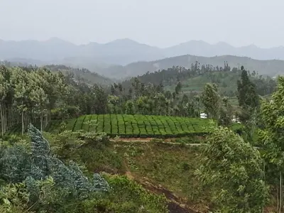 a farm in the hills with mountains in the background at Mountain Top Holiday Home in Ooty