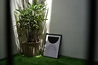 a mirror sitting next to a plant in a room at Verdant Courtyard, 3BHK, Near IIM, NITC in Kozhikode