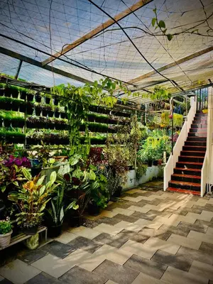 a greenhouse filled with lots of plants and stairs at JoeVilla Homestay Near Kottiyoor in Kelakam