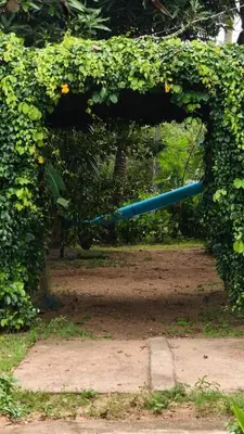 a blue baseball bat hanging from a green hedge at Kadingis homestay and eco tourism in Kadalundi