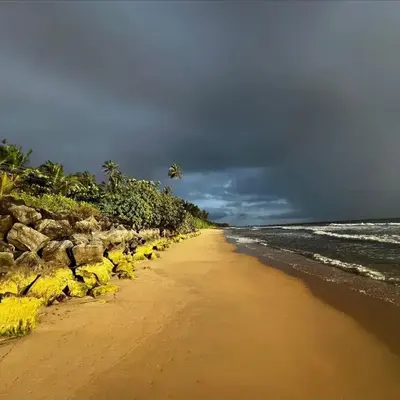 Peaceful Homestay near Kizhunna Beach
