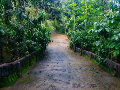 a dirt road through a banana plantation at Fogland Villa in Vaduvanchal