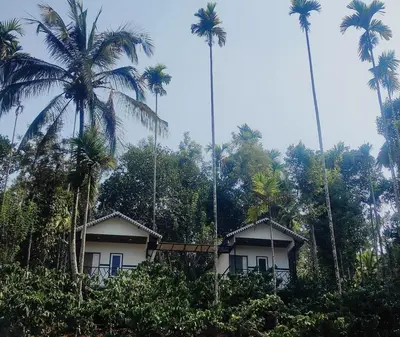 two houses in the jungle with palm trees at Fogland Villa in Vaduvanchal