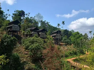 a group of houses on a hill in the forest at Vanilla Farms in Koroth