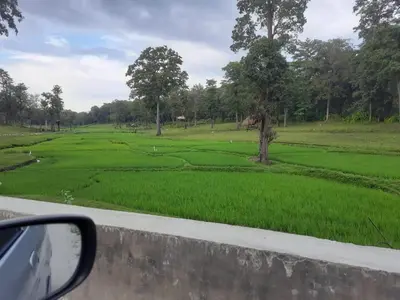 a view of a green field from a car at Ophel Homestay, 7 Bed Heritage Home in Mananthavady