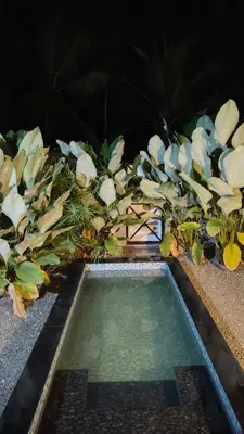 a swimming pool in a garden with plants at Cherry Blossoms Chalet in Kozhikode