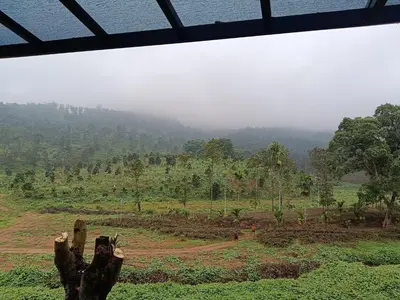 a view of a field with trees in the distance at The Tree House in Vythiri