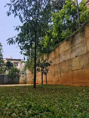 a tree in the grass next to a wall at Alpine Zenith - Luxury Wooden Cottages in Meppādi