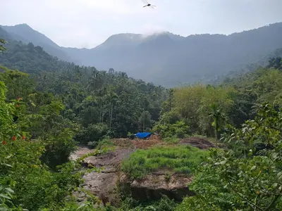 a dirt road in the middle of a forest at Vanillafarms in Wayanad