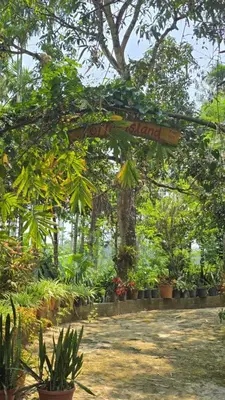 a garden with a sign hanging from a tree at Coffeeisland vintage stay in Meenangadi