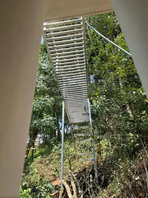 a ladder in the middle of a field with trees at Mynakam - A peaceful escape in Vythiri