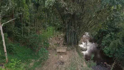 a bench sitting next to a river in a forest at Oryx Villai in Vythiri