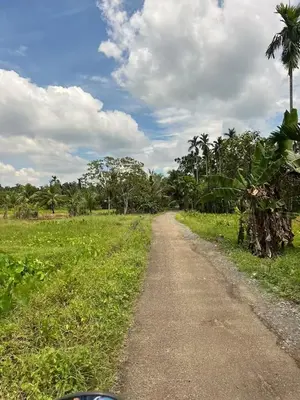 a dirt road in the middle of a field at Do not book in Kāladi