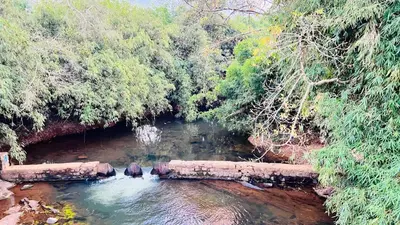 a bridge in the middle of a river with trees at White Fort Holiday Home in Vythiri