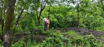 two people standing on a swing in a forest at Jewel Homes Thattekad For birding and families - An ISO9001 ISO14001 ISO22000 Certified in Thattakād
