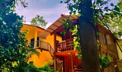 a yellow house with a tree in front of it at coorg Namana homestay in Suntikoppa