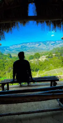 a person sitting on a bench looking out at the mountains at Muffintrip stays camp N trek in Kūkkāl