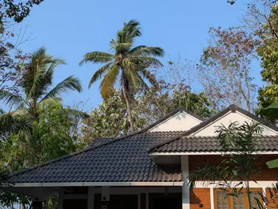 a house with a palm tree in the background at DreamWoods Cottage in Kelakam
