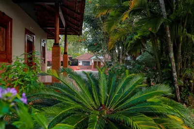 a palm tree in front of a house at Kudajadri Drizzle Homestay in Kaniyāmbetta
