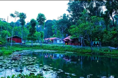 a group of houses and a river with water lilies at THE DOCkSIDE INN in Madikeri