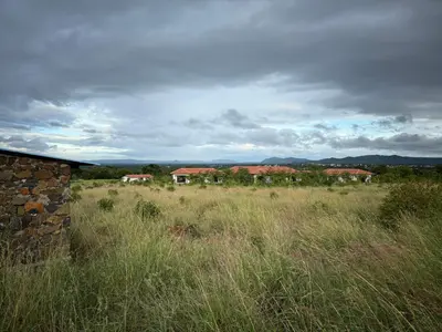 a field of tall grass with houses in the background at Leopard Hill Resort - Bandipur in Bandipūr