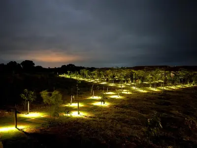 a row of lights in a field at night at Leopard Hill Resort - Bandipur in Bandipūr
