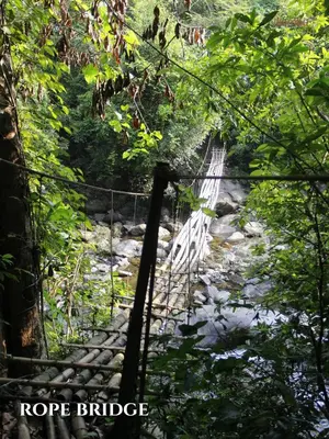 a suspension bridge over a river in a forest at Nilambu Homestay in Nilambūr