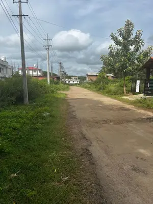 a dirt road next to a field of grass at Kannada Maathe Home Stay- Golden Temple-Tibet camp 2 km far in Kushālnagar