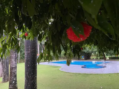 a view of a swimming pool with a tree at Hotel KPM Tripenta in Palakkad
