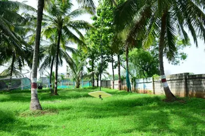 a person holding a surfboard in a field with palm trees at Lucky Escape Adda in Hullahalli