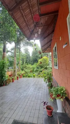 a patio with potted plants next to a building at Kadavath Homestay in Ernakulam