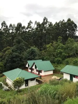 a group of houses with green roofs at Lone Tree Creek in Vattavada