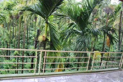 a view of palm trees from a balcony at Safari Inn in Kurchi