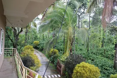 a walkway in a forest with palm trees and bushes at Safari Inn in Kurchi