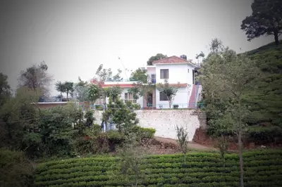 a house on a hill next to a tea plantation at HIGHLAND Hills in Coonoor