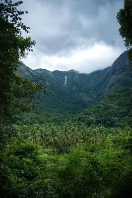 a view of a valley with palm trees and a waterfall at Seethavanam Farmstay at Forest Edge in Kollengode