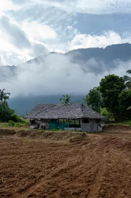 an old house in a field with a dirt road at Seethavanam Farmstay at Forest Edge in Kollengode