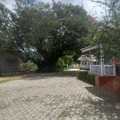 Ooty FernCrest