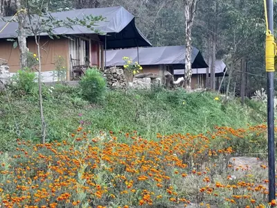 a house on a hill with a field of flowers at Deshadan Jungle in Kanthalloor