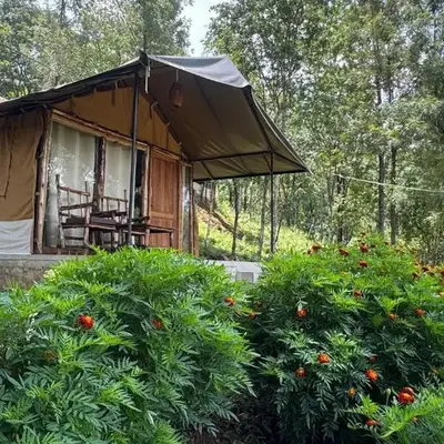 Deshadan Jungle