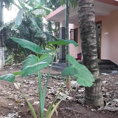 SriMahi Farmhouse