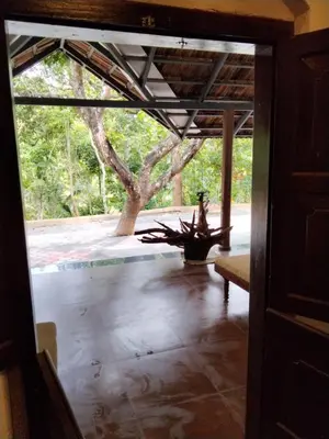 an open door to a room with a tree at Pariyarathu veedu, 4 Bed Hostel in Wayanad