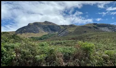 a mountain in the middle of a field with trees at Munnar Mountain view cottage in Munnar