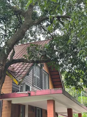 a house with a tree in front of it at Cottage on Riverside in Irinjālakuda
