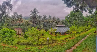 a field with a tent in the middle of a forest at Nature's nest in Kuttampuzha