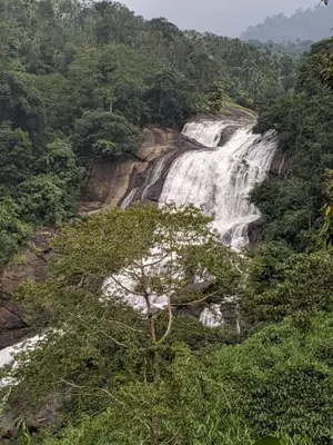 a waterfall in the middle of a forest at Jungle View Homestay Anakulam in Viripara