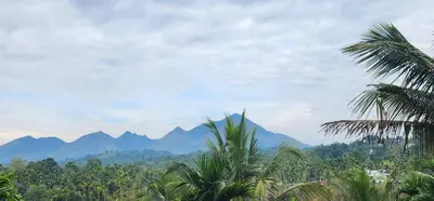 a view of mountains and forests with palm trees at Itria private pool villa in Pinangode