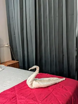 a large white swan laying on a bed at Little home Apartment 1 in Tāzhekkod